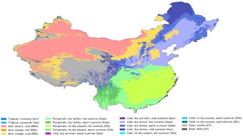 屋久杉在中國怎麼樣：是否能適應大陸的環境與氣候？