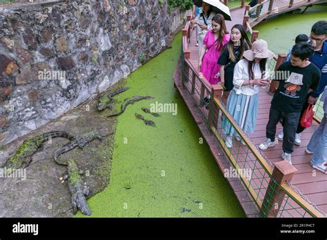 宣城鱷魚湖探索之旅：神秘的湖泊傳說與地理風貌